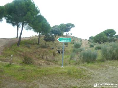 Ruta del Turrón y Polvorón - Los Pinares del Rey: naturaleza y biodiversidad; urederra nacimiento se